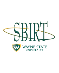 Screening, Brief Intervention and Referral to Treatment (SBIRT) (2CEUs)